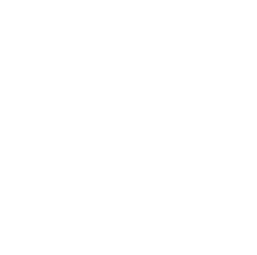MadeUSABornSealyTX-WhiteCircle